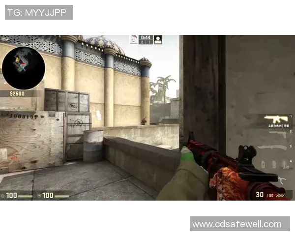 聚焦CS_GO：BLG的耐力话题